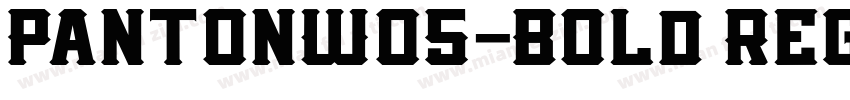 PantonW05-Bold Regul字体转换